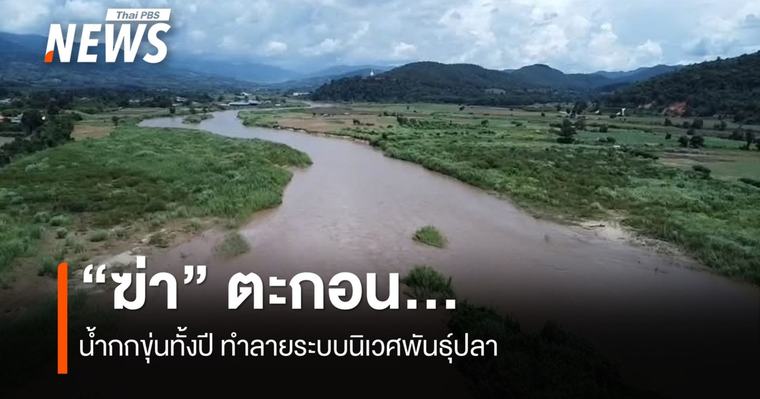 ข่าว 1 ชั่วโมงที่แล้ว “ฆ่า” ตะกอน ...น้ำกกขุ่นทั้งปี ทำลายระบบนิเวศพันธุ์ปลา